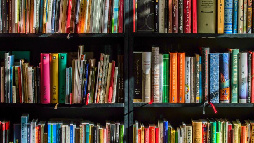 Bibliopride
