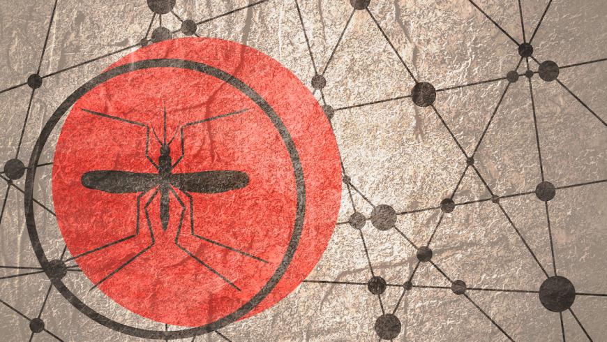 Arbovirus
