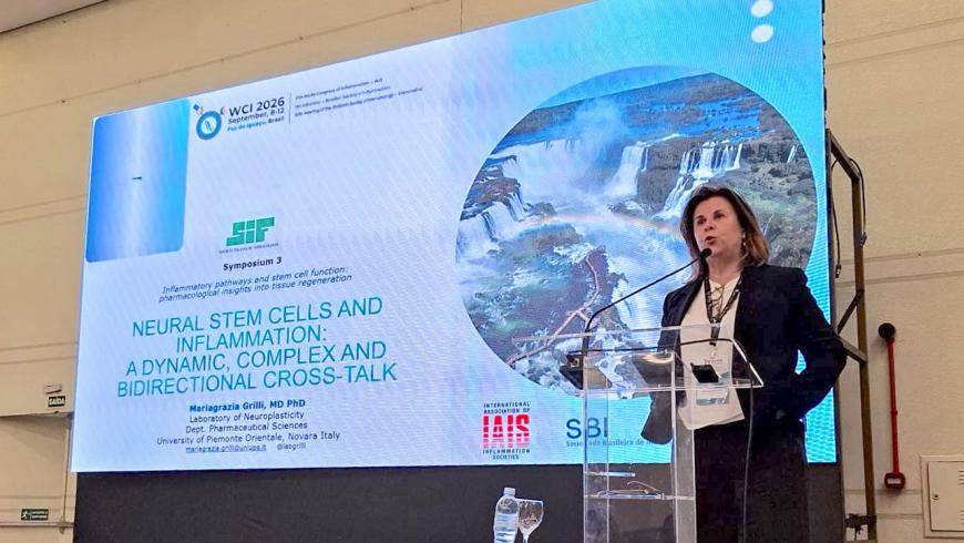 Mariagrazia Grilli, WCI 2026